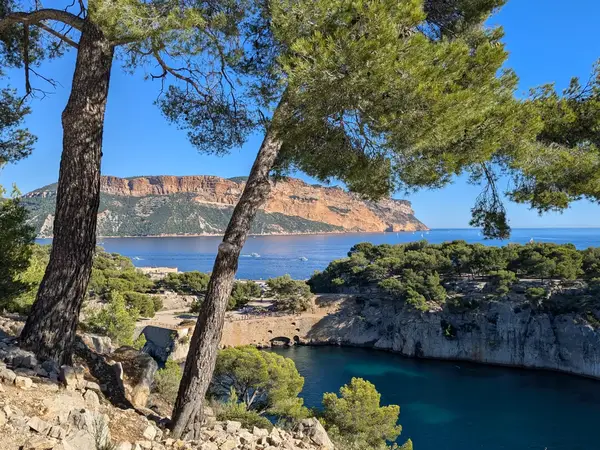 Cassis 